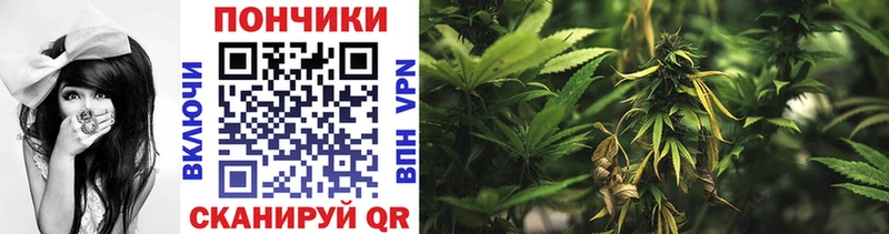 Магазин наркотиков Ленск Канабис  СОЛЬ  ГАШ  Меф  Амфетамин  Бутират  COCAIN 