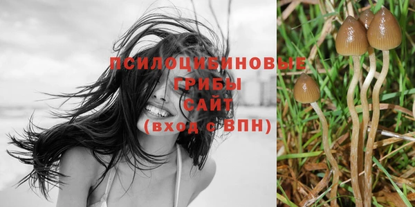 винт Балабаново