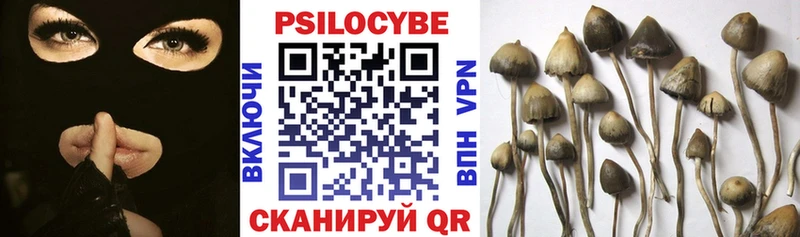Псилоцибиновые грибы Psilocybe Ленск