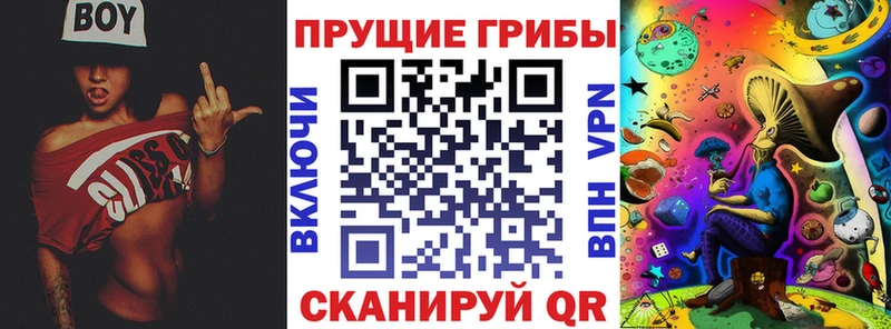 где купить наркоту  Ленск  маркетплейс наркотические препараты  Галлюциногенные грибы мицелий 